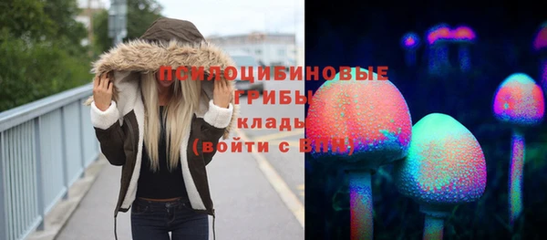 ешки Арсеньев