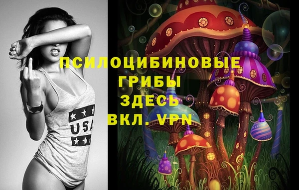 ешки Арсеньев
