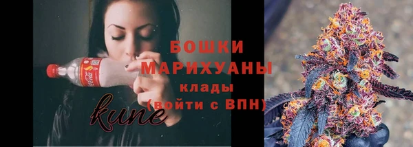 молекула духа Аркадак