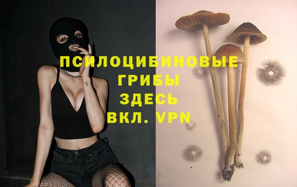 молекула духа Аркадак
